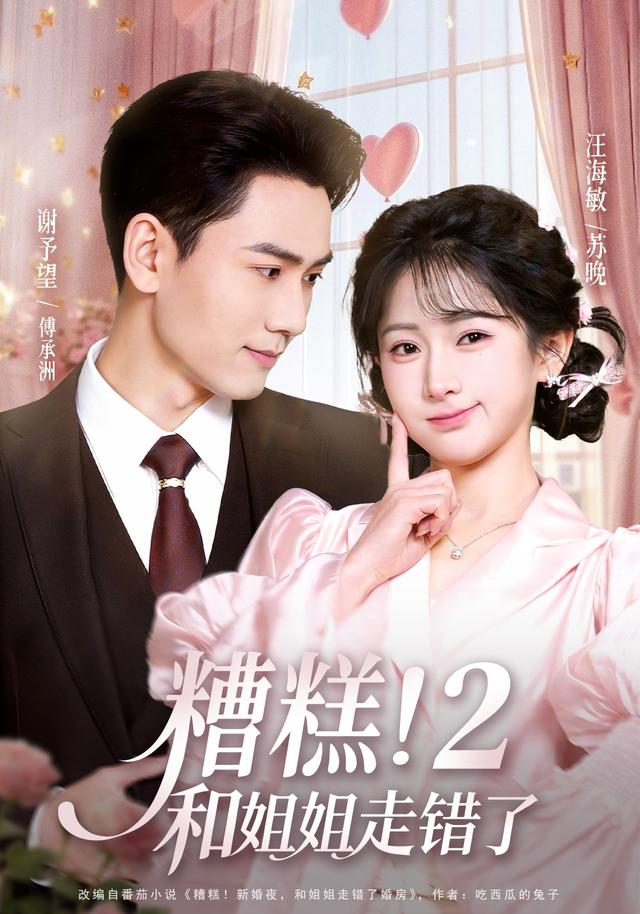 糟糕！和姐姐走错了2海报